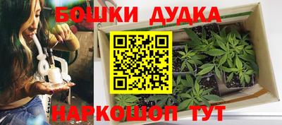 гидропоника Сланцы