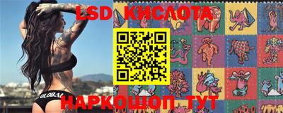 гидропоника Сланцы