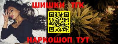 гидропоника Сланцы