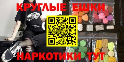 гидропоника Сланцы