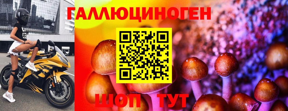 Галлюциногенные грибы мицелий  Вход с VPN  Новодвинск  Псилоцибиновые грибы Psilocybe 