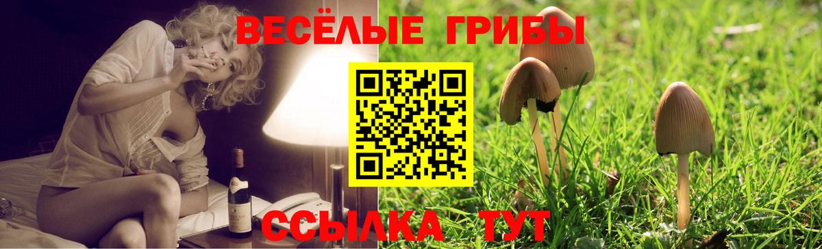 Псилоцибиновые грибы мухоморы Новодвинск