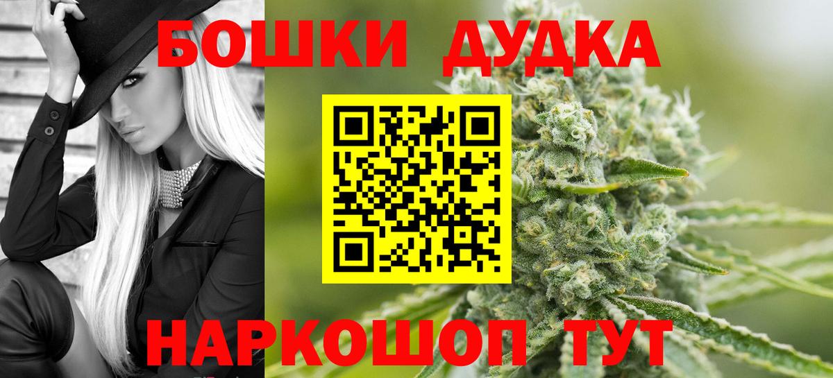 Конопля план Новодвинск